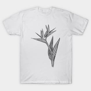 Birds of paradise flower scientific nature black ink pen drawing illustration T-Shirt